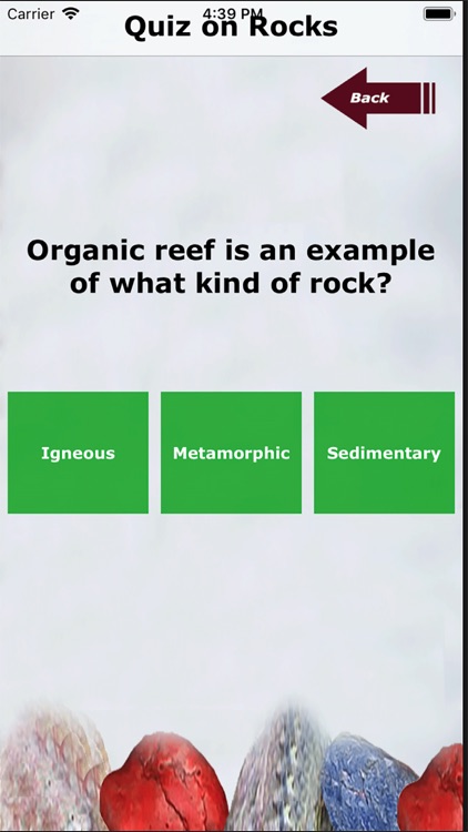 Kidz Learn Rocks screenshot-4