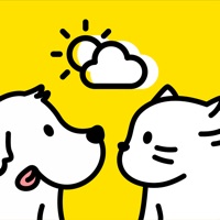 Cats & Dogs Weather app funktioniert nicht? Probleme und Störung