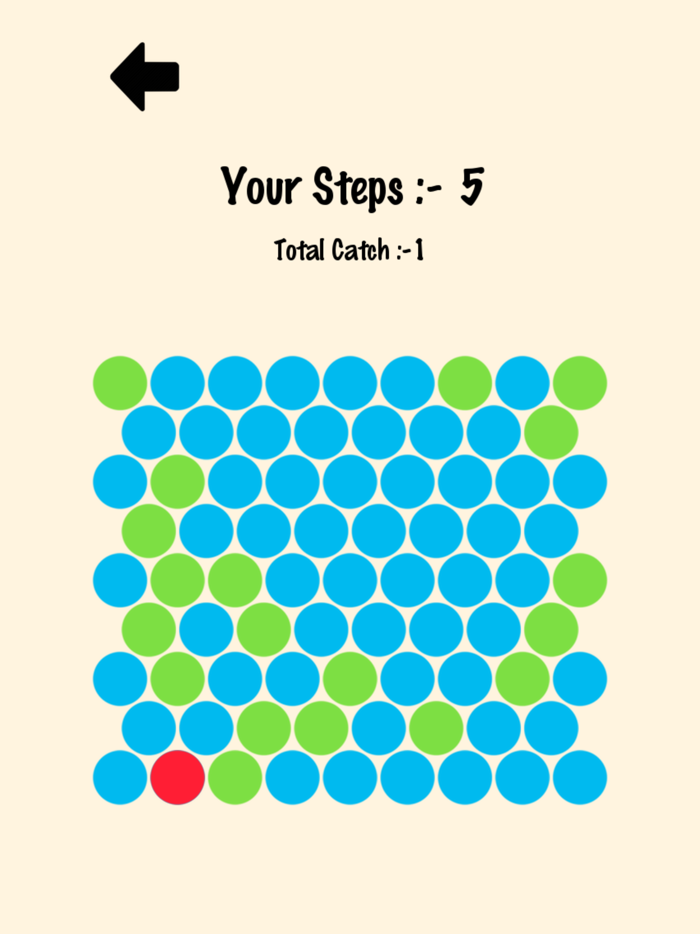 Catch Me - Puzzle Game