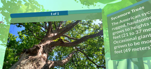 PI VR Plants and Trees(圖6)-速報App