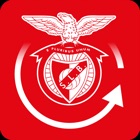 Top 21 Entertainment Apps Like Benfica Tour 360 - Best Alternatives