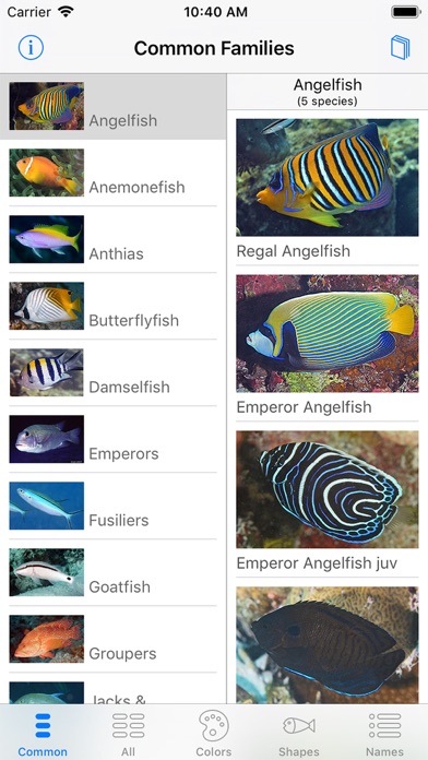 Deep Blue Divers Fish Guide screenshot 2