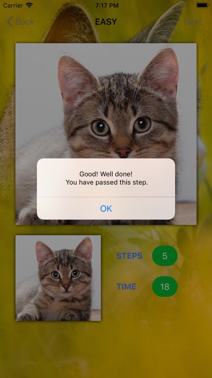 Love Cats App screenshot-5