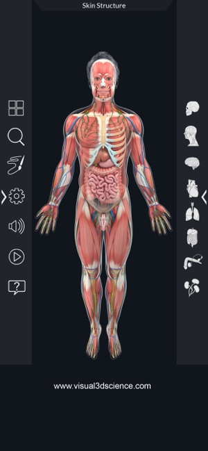 AR Human Anatomy(圖3)-速報App