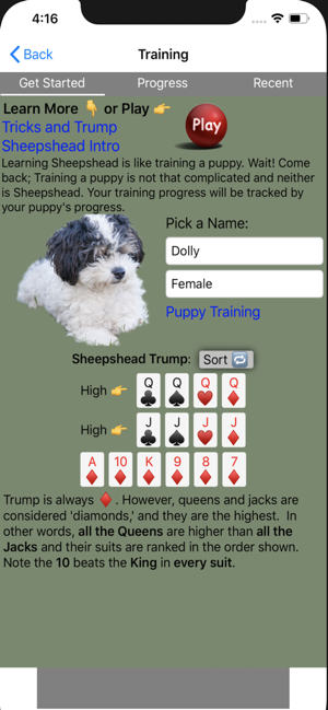 K9 Sheepshead: Schafkopf Cards(圖2)-速報App