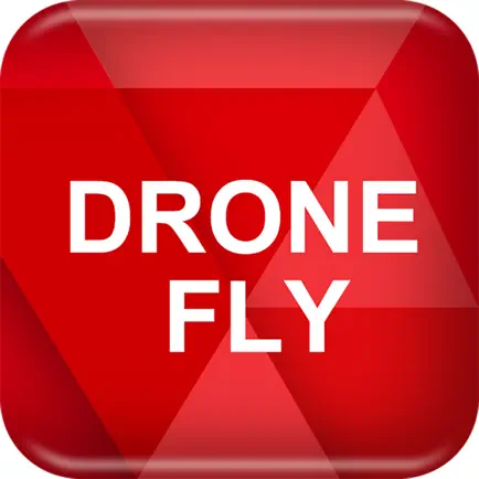 DRONE FLY T2M Читы