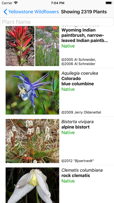 How to cancel & delete Yellowstone Wildflowers from iphone & ipad 2