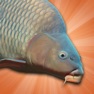 Get Carp Fishing Simulator for iOS, iPhone, iPad Aso Report