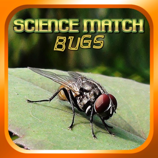 Science Match Bugs