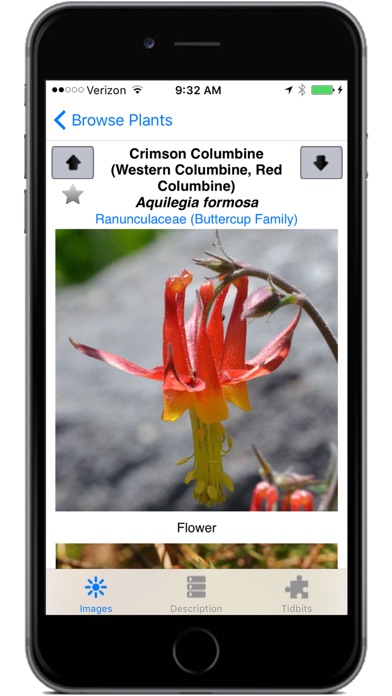 How to cancel & delete Yosemite Wildflowers from iphone & ipad 4