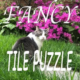 Fancy Tile Puzzle