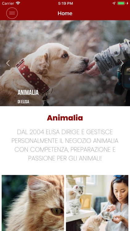 Animalia di Elisa