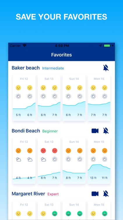 Weesurf, wave & wind forecast