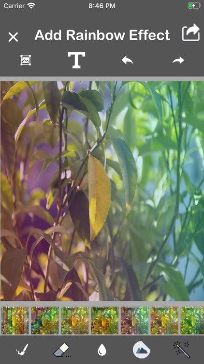 Make My Rainbow Photo