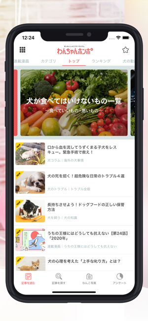 App Store 上的 犬のニュースや飼い方の情報をまとめ読み わんちゃんホンポ