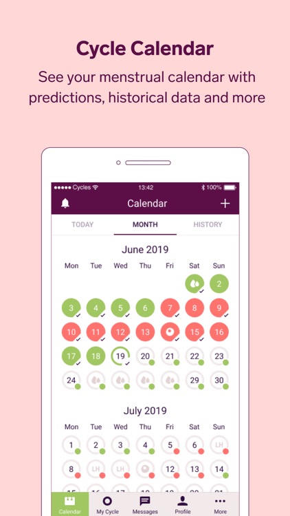 Natural Cycles - Birth Control screenshot-3