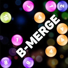 Activities of B-MERGE
