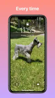 lockne: perfect wallpapers iphone screenshot 2