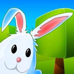 Bunny Maze 3D