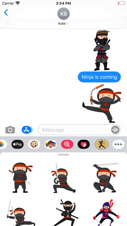 Ninja Samurai Stickers