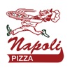 Napoli Pizza of Wellsville