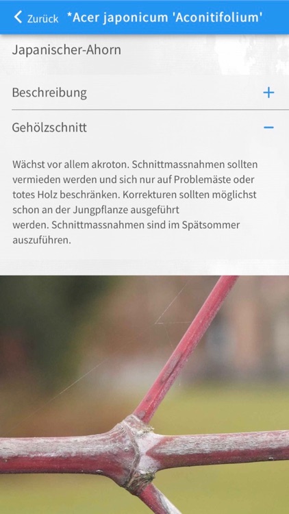 Gehölze im Winter screenshot-4