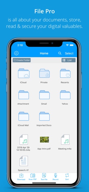 File Pro - Easy Files & PDF(圖1)-速報App