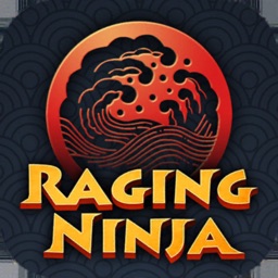 Raging Ninja