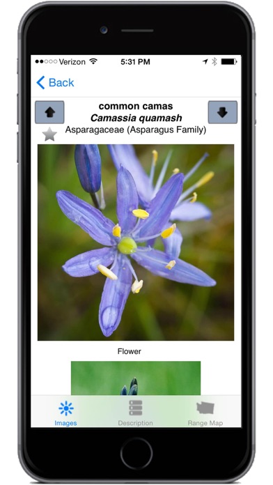 How to cancel & delete Washington Wildflowers from iphone & ipad 4