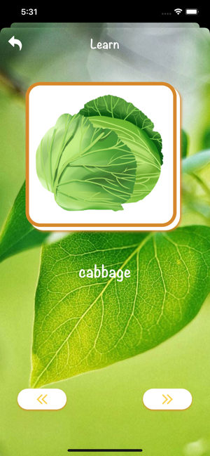 VPL--VegetablesPictureLearning(圖2)-速報App