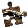 Crocodile Lovers Puzzle