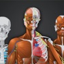 Get Memorix Anatomy QUIZ for iOS, iPhone, iPad Aso Report