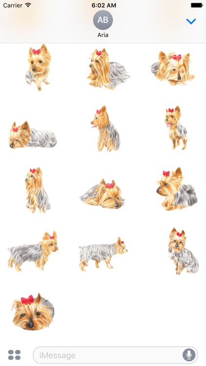 Cute Yorkie YorkieMoji Sticker screenshot-3