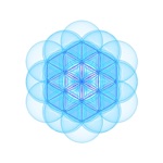 Conscious Fit Collective