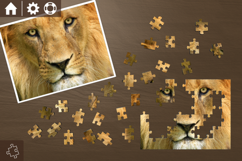 Ravensburger Puzzle screenshot 3