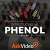 Intro Course For Phenol