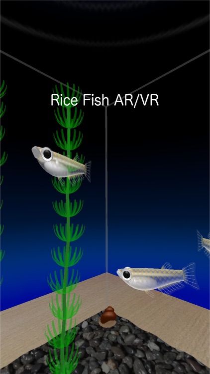 Rice Fish AR/VR screenshot-0