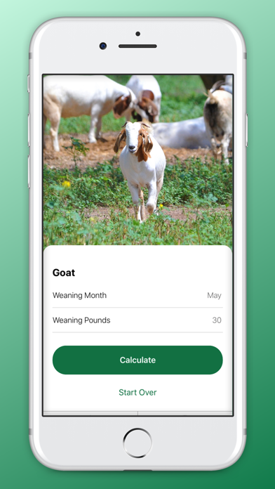 How to cancel & delete Lamb & Goat Market Forecast from iphone & ipad 2