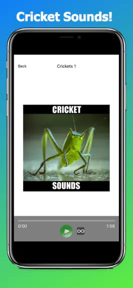 Game screenshot Crickets Sounds! Insect Sounds mod apk