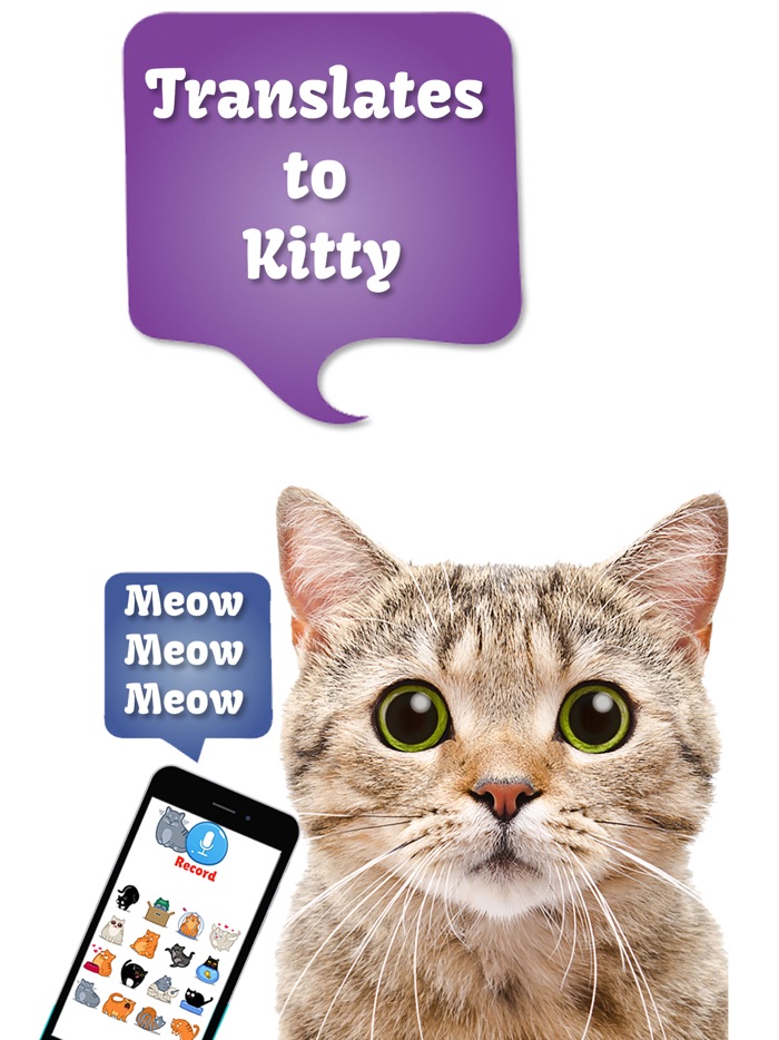 Cat Translate talk to Kitten