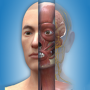 人卫3D人体解剖图谱