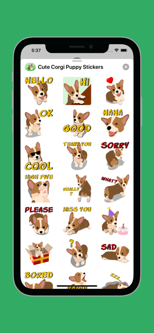 Cute Corgi Puppy Stickers(圖2)-速報App