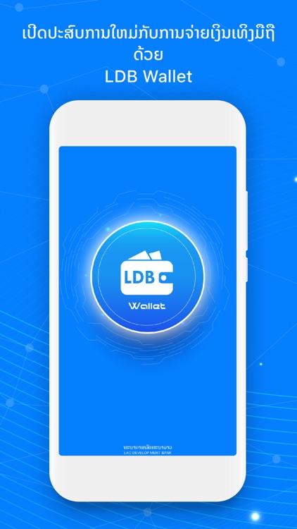 LDB Wallet