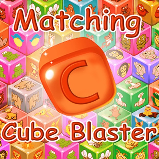 Matching Cube Blaster