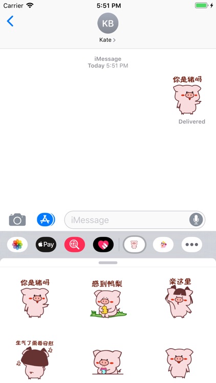 Stupid Pig Stickers