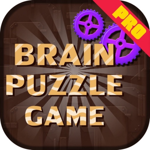 Brain Puzzles Game Pro