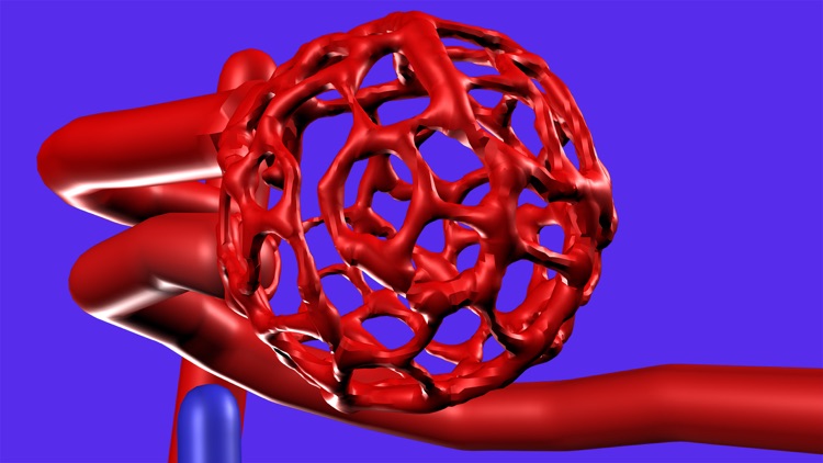 Bioanim Complete screenshot-4