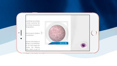 How to cancel & delete 3D Mitotic Division from iphone & ipad 3