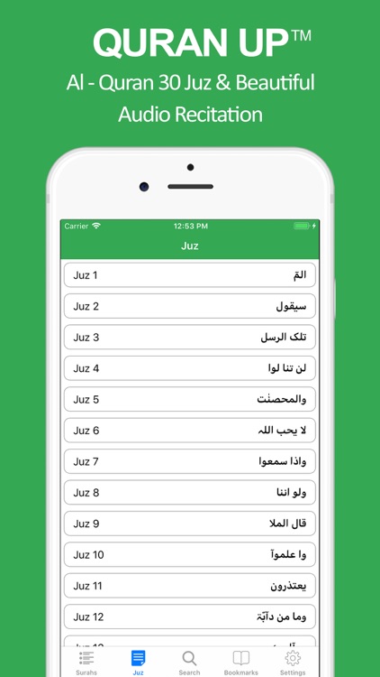 Quran Up : 16 lines Mp3 Quran screenshot-3