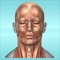 This free application provides an in-depth reference guide of the Human Muscular Anatomy featuring high quality detailed content and images in a well presented and easy to navigate way